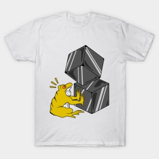 Frog with Cubes T-Shirt